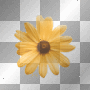 Daisy   made by karen0428