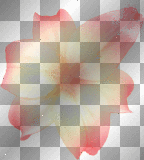 transparent flower orange and red