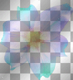 transparent flower blue-purple