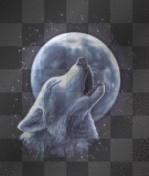 jacob wolf