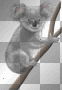Koala Bear =^-^=