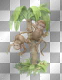 Monkeys In A Tree =^-^=