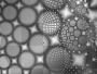 Bling Circle Mesh~NEWFIEBEAUTY~ Bling Circle Mesh~NEWFIEBEAUTY~