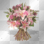 Spring Flowers