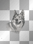 Wolf Transparent AT