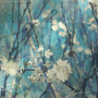 FiOrI