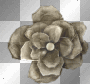 brown flower a