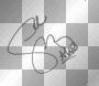 Selena gomez autograph