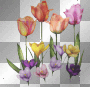 Springish Flowers Springish Flowers