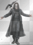 the crow