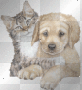 best friends