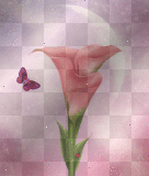 bloem
