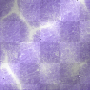 Scrapworld Background animated
