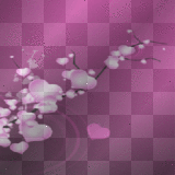 TLO,  Background   animated