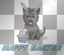 Happy easter - puppy