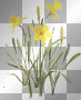wielkanoc Easter Spring transparent 
