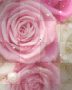 kawaii pink roses!