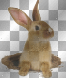  Easter Spring background 