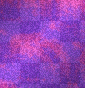 Pink/Purple Glitter
