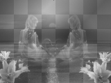 black and white glitter
