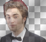 rob at the oscars