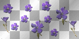Pretty Violet Falling Flowers