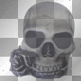 skull 