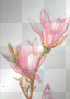 Spring Flower