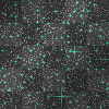 Green- Black- Glitter Backround