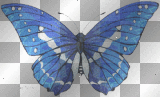 Blue- and White- Glitter Butterfly
