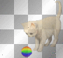 cat-BT cat-BT