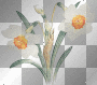 flower-BT