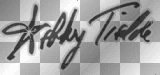 Ashley Tisdale Signature