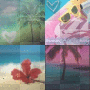 summer summer