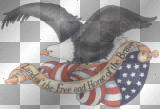 Land of the Free and Home of the Brave =^_^=