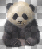 Baby Panda =^_^=