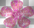 pink flower