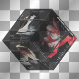 Twilight series' Cube