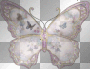 pink butterfly