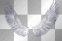 wings w/transparent bkground