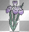 swaying purple flowers ' 
