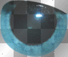 blauw oog