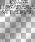 jamas llegaras a mi calidad