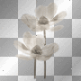 White Flashing Flowers by karen0428