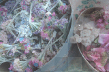 Background..