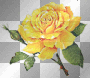 FLOWER.. FLOWER..