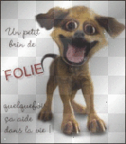 brin de folie
