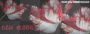 New Moon Banner