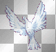 colombe
