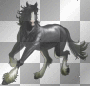 Frison noir